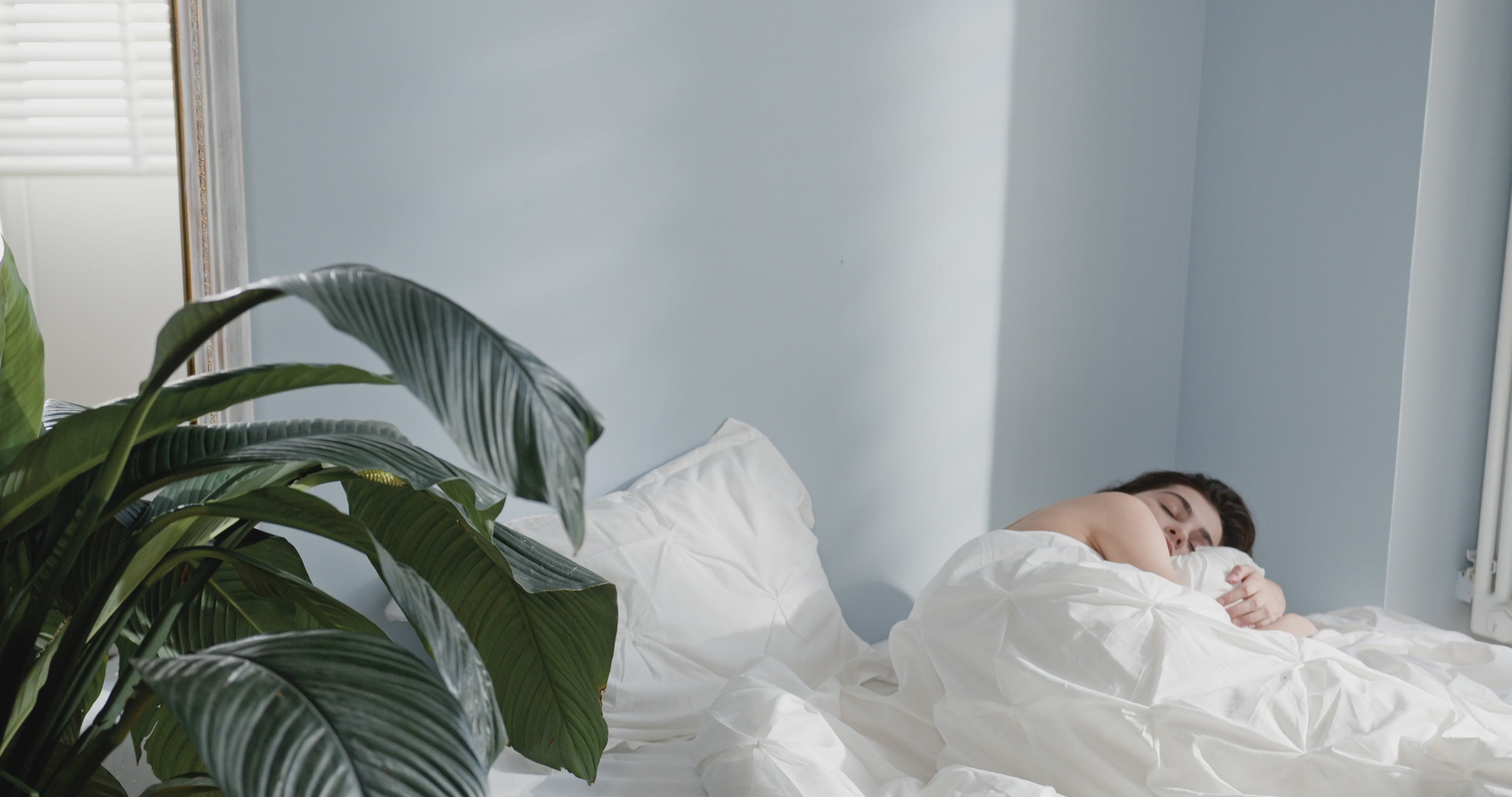 Charger la vidéo : 